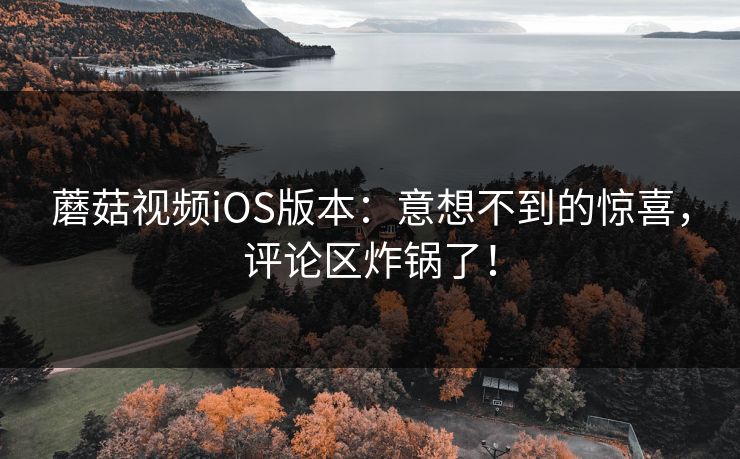 蘑菇视频iOS版本：意想不到的惊喜，评论区炸锅了！