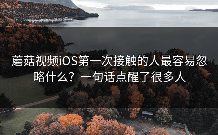 蘑菇视频iOS第一次接触的人最容易忽略什么？一句话点醒了很多人
