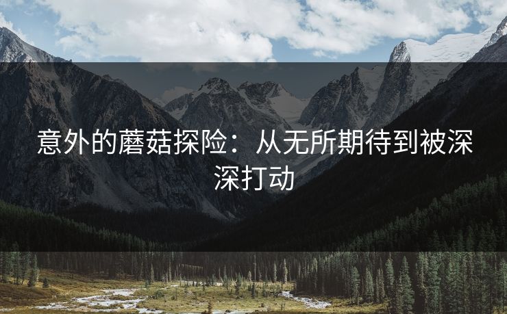 意外的蘑菇探险:从无所期待到被深深打动 意外的蘑菇探险:从无所期待到被深深打动