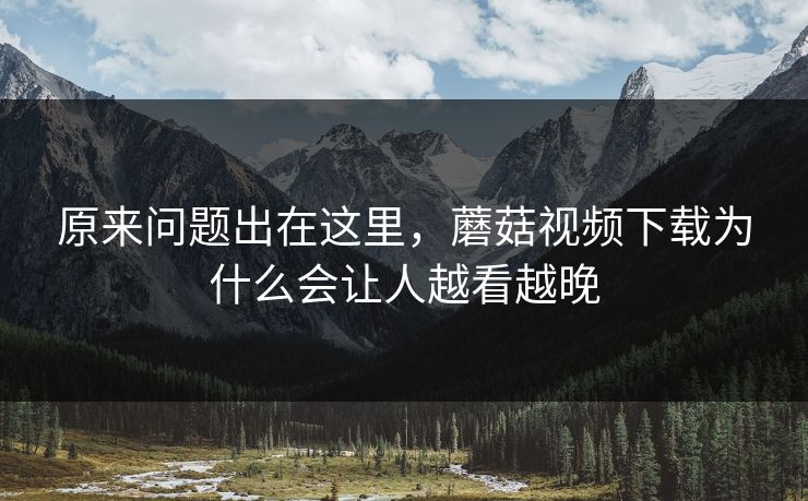 原来问题出在这里，蘑菇视频下载为什么会让人越看越晚
