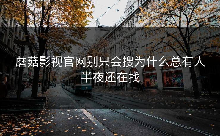 蘑菇影视官网别只会搜为什么总有人半夜还在找