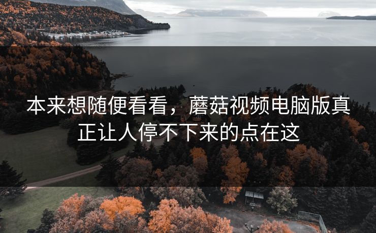 本来想随便看看,蘑菇视频电脑版真正让人停不下来的点在这 本来想随便看看,蘑菇视频电脑版真正让人停不下来的点在这