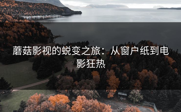 蘑菇影视的蜕变之旅：从窗户纸到电影狂热