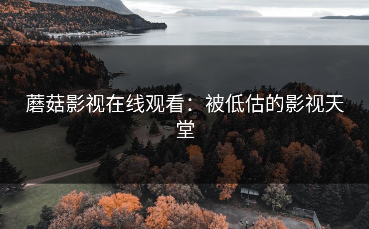 蘑菇影视在线观看:被低估的影视天堂 蘑菇影视在线观看:被低估的影视天堂