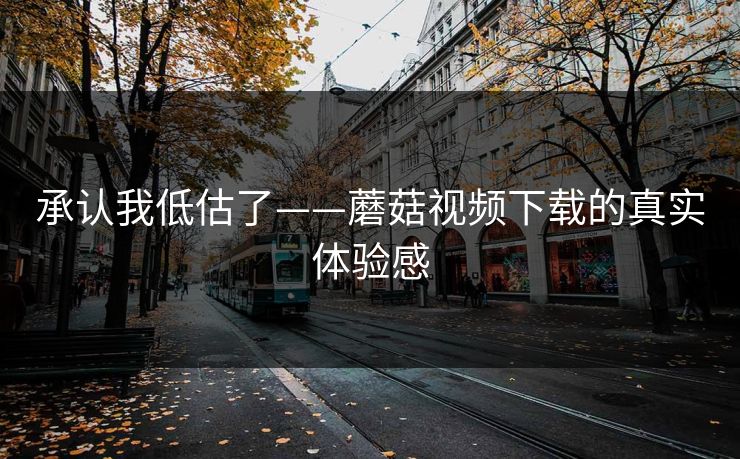 承认我低估了——蘑菇视频下载的真实体验感