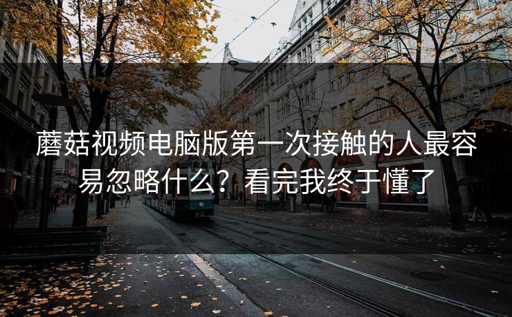 蘑菇视频电脑版第一次接触的人最容易忽略什么?看完我终于懂了 蘑菇视频电脑版第一次接触的人最容易忽略什么?看完我终于懂了