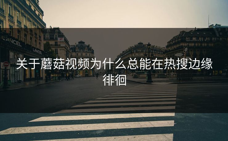 关于蘑菇视频为什么总能在热搜边缘徘徊