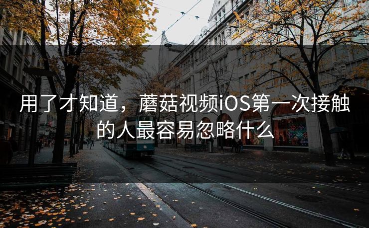 用了才知道,蘑菇视频iOS第一次接触的人最容易忽略什么 用了才知道,蘑菇视频iOS第一次接触的人最容易忽略什么